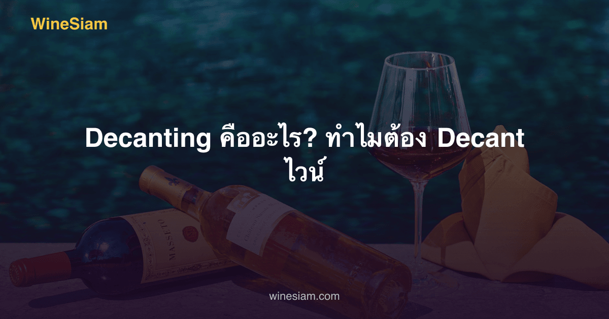 Decanting คืออะไร? ทำไมต้อง Decant ไวน์ | WineSiam