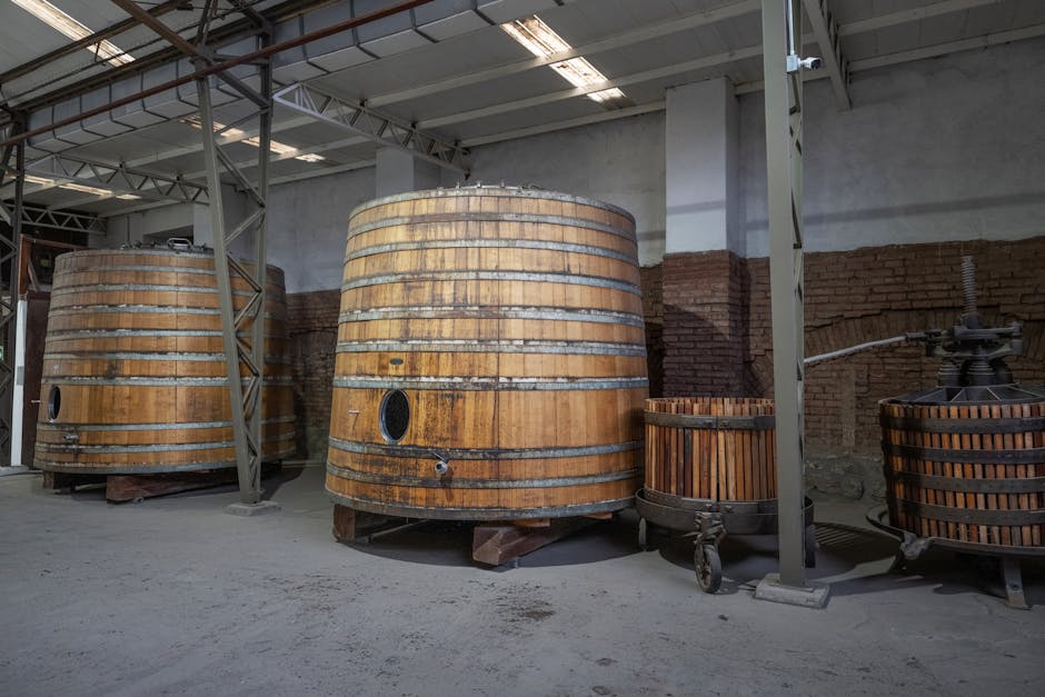 Maipo Valley แหล่งผลิตไวน์ชิลีที่ควรรู้