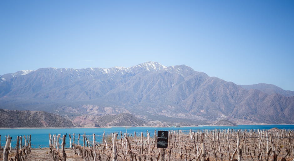 Mendoza แหล่งผลิตไวน์อาร์เจนตินาที่ควรรู้