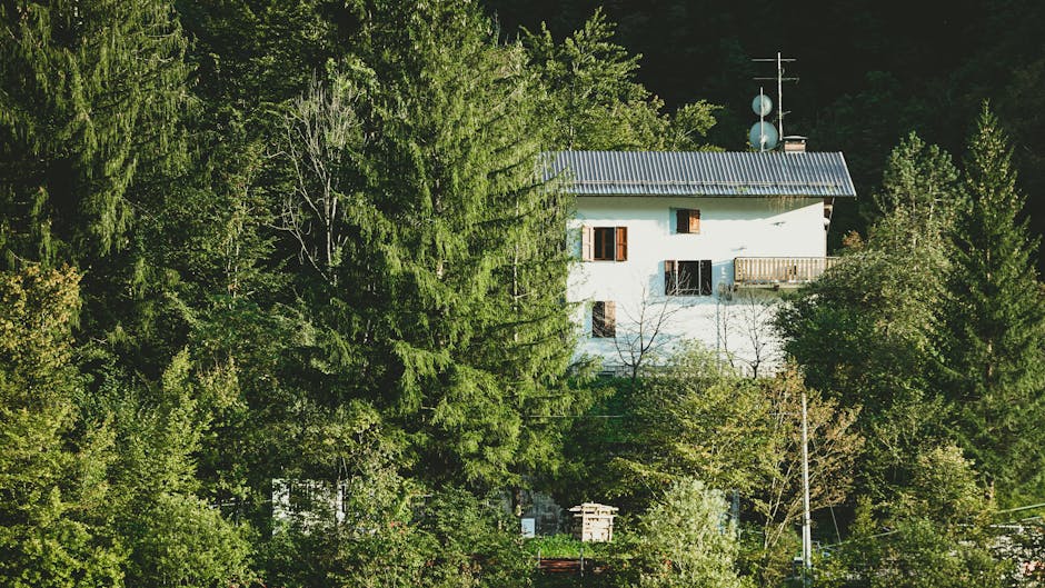 Piedmont แหล่งผลิตไวน์อิตาลีที่ควรรู้