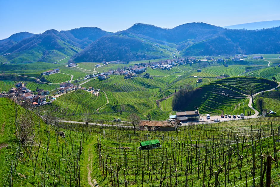 Veneto แหล่งผลิตไวน์อิตาลีที่ควรรู้
